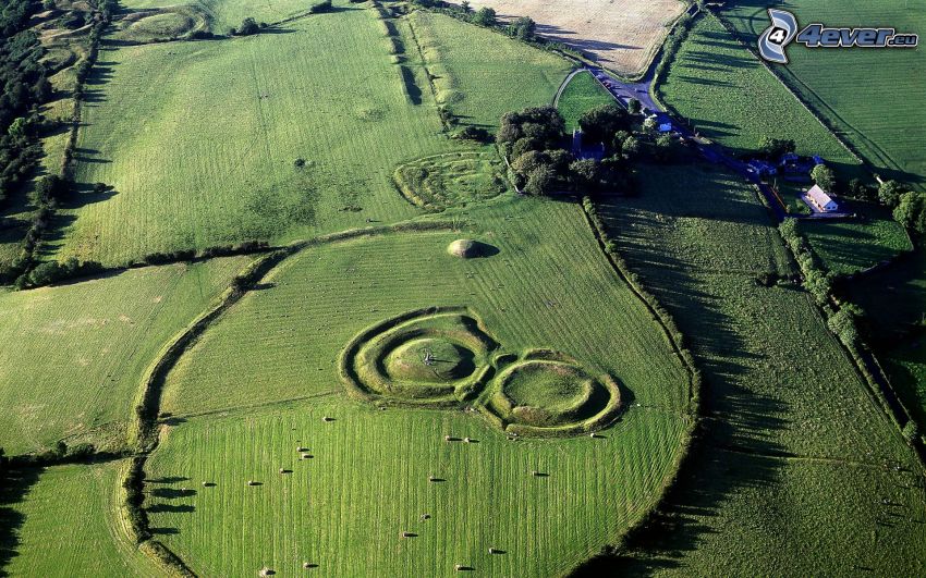 łąka, widok z lotu ptaka, Irlandia