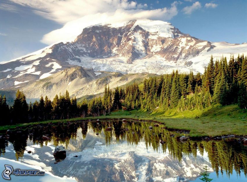 Mount Rainier, jezioro w lesie, wzgórze, odbicie