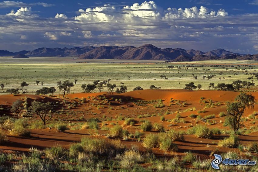 Namibia, pustynia, sawanna, wzgórza, chmury
