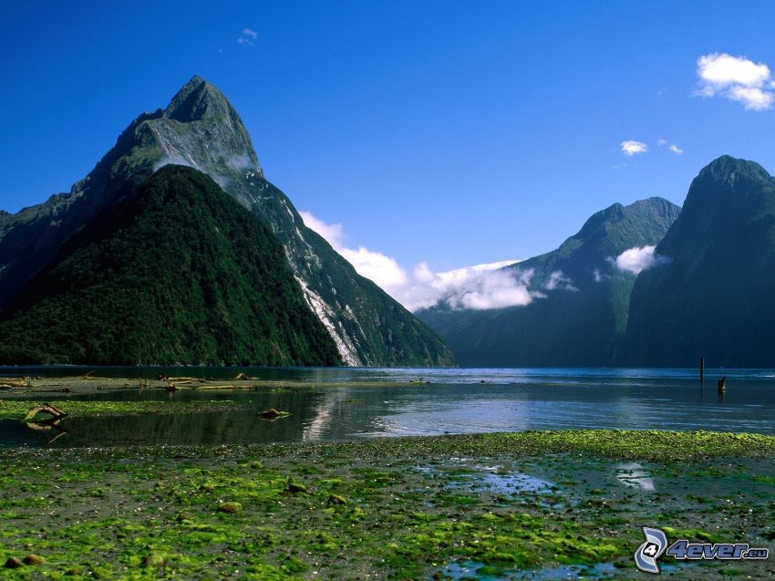 Nowa Zelandia, wzgórza, jezioro