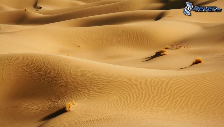 pustynia, piasek