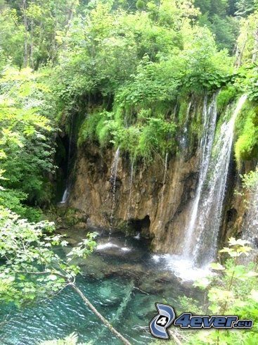 wodospad w lesie, jeziorko w lesie, zielona woda