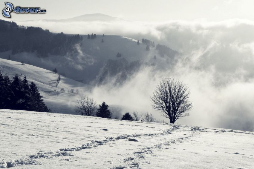 wzgórza, ślady w śniegu, chmury, czarno-białe