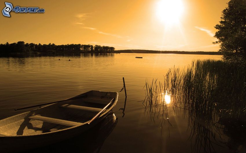 zachód słońca nad jeziorem, łódka, drzewa, przyroda