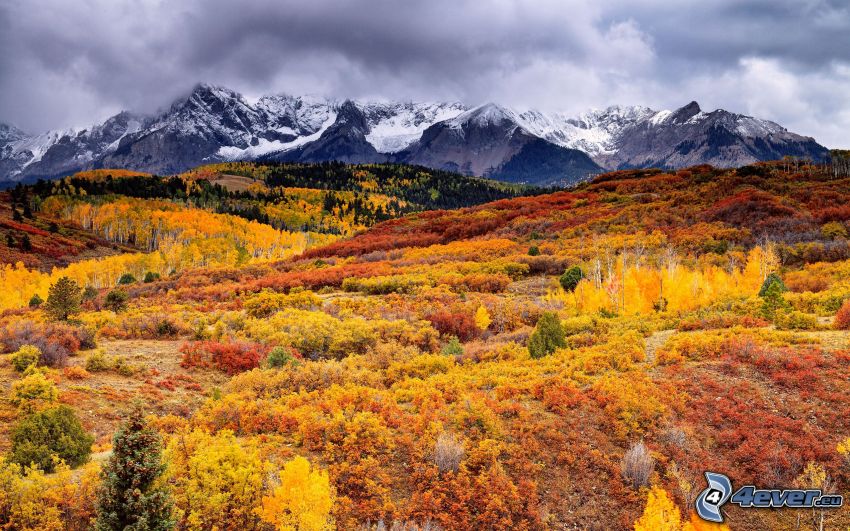 żółty jesienny las, jesienne wzgórza, góry