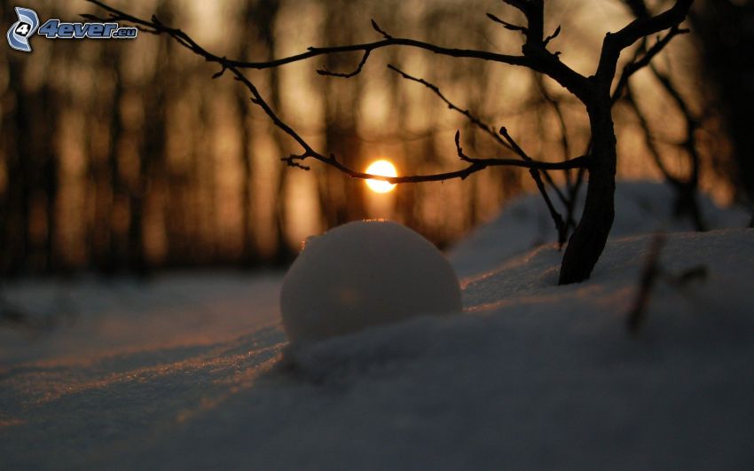 kula, śnieg, konar, zimowy zachód słońca