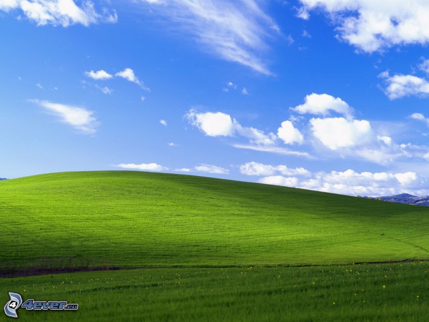 łąka, niebo, chmury, Windows XP