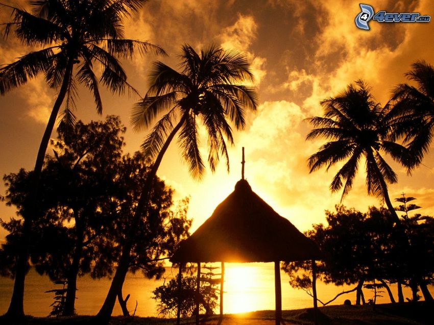 altanka, palmy na plaży, zachód słońca nad morzem