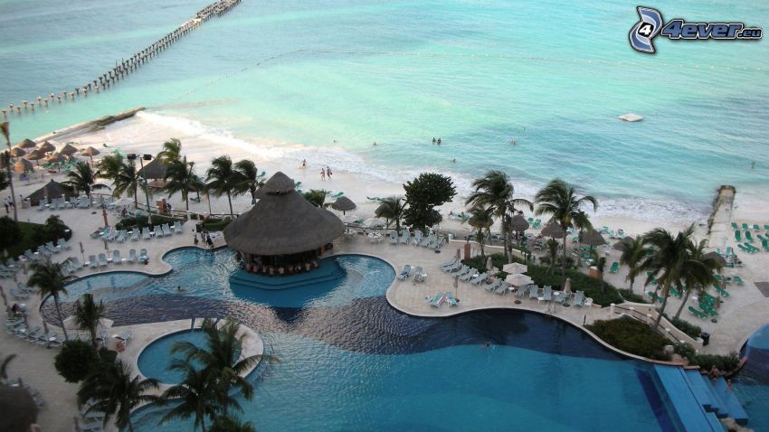 Cancún, plaża, morze, palmy