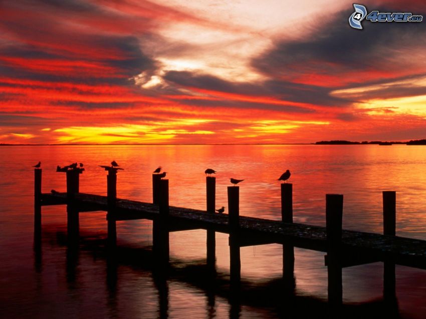 Florida, po zachodzie słońca, pomarańczowe niebo, morze, molo, ptaki, sylwetki