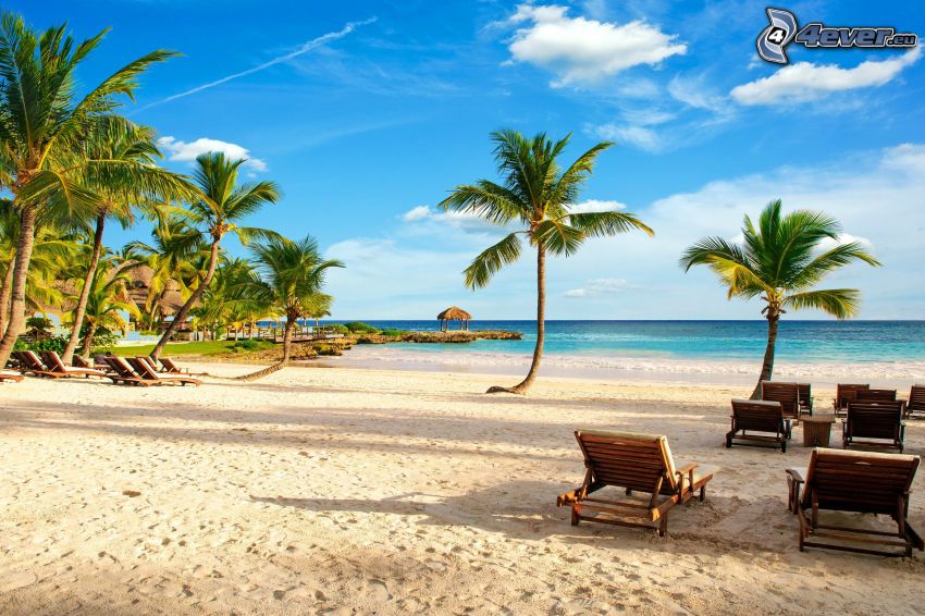 leżaki, plaża piaszczysta, palmy, morze otwarte