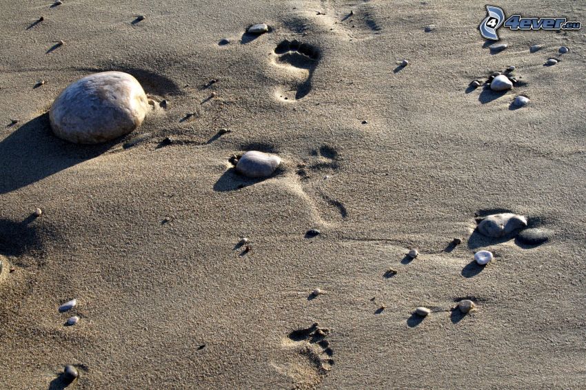 ślady stóp na piasku, kamienie