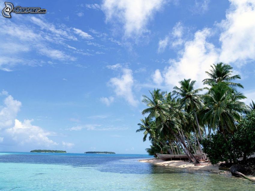 wyspa z palmami, plaża, lazurowe morze, laguna, ocean, niebo, drewniana łódź
