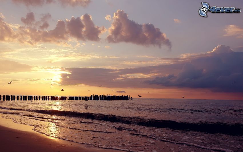 Zachód słońca nad morzem, kolumny, plaża piaszczysta, niebo o zmroku