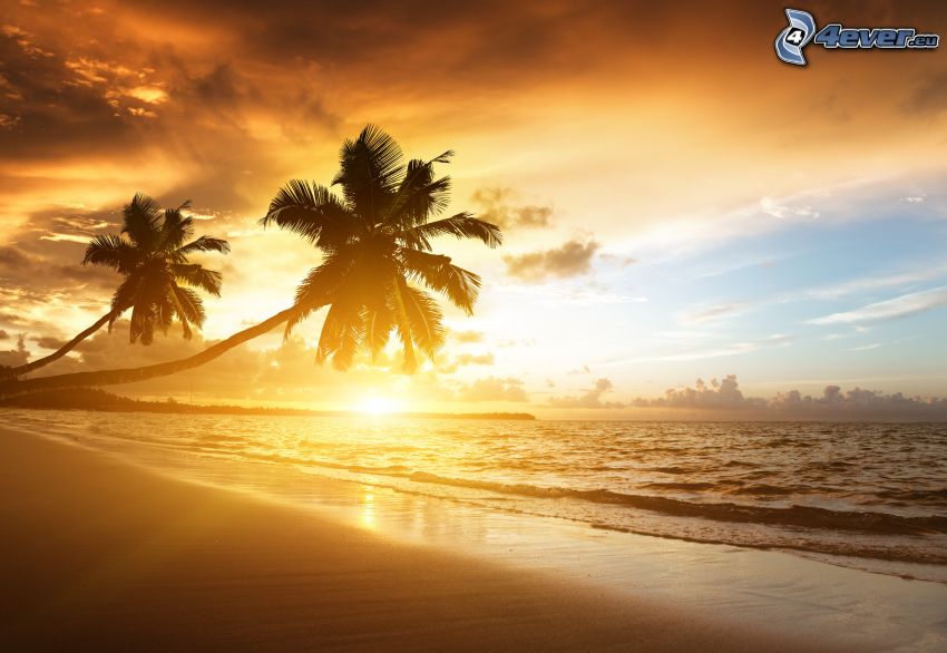 zachód słońca nad morzem, plaża piaszczysta, palmy, sylwetki