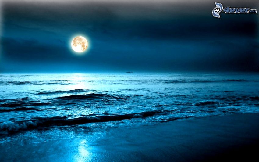 morze otwarte, księżyc, plaża, noc