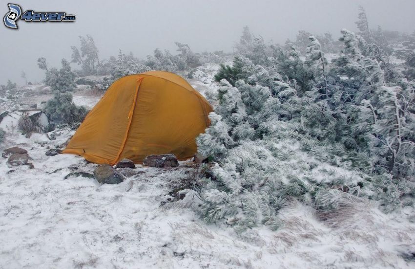 namiot, śnieżny krajobraz