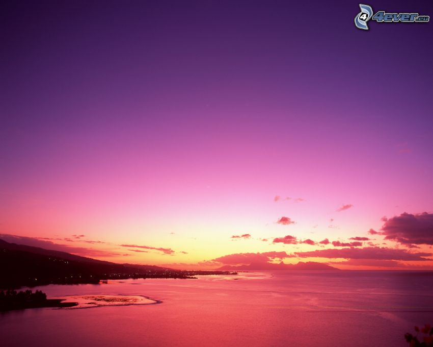 fioletowe niebo, plaża po zachodzie słońca, wybrzeże, morze, ocean