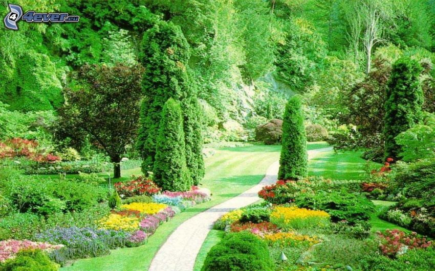 ogród, chodnik, zieleń