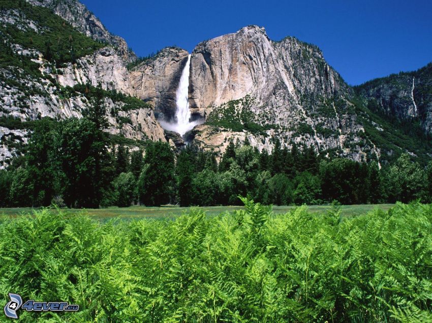 Park Narodowy Yosemite, wodospady