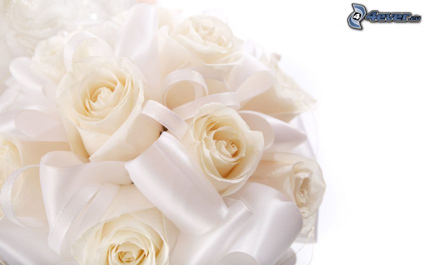białe róże, bukiet