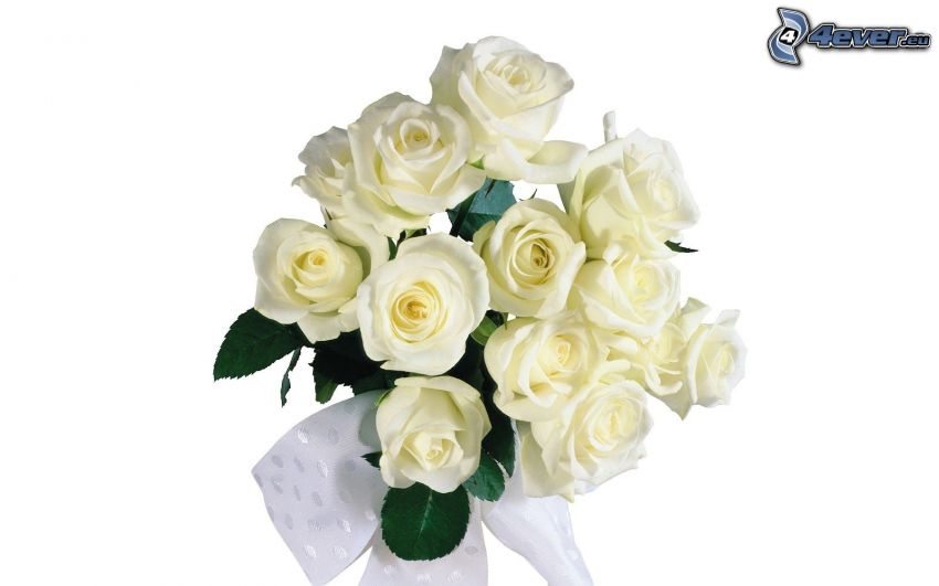 białe róże, bukiet