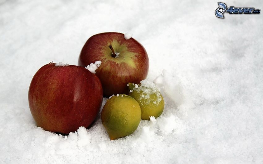 jabłka, cytryny, śnieg