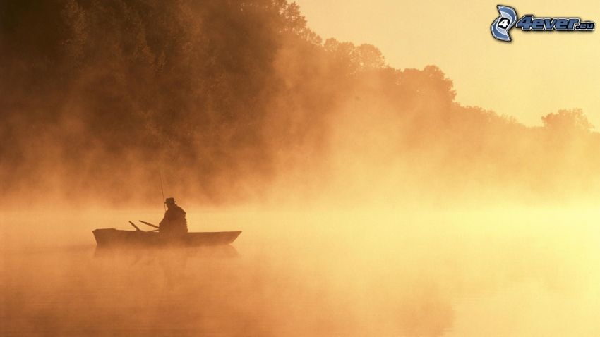 rybak, łódka, przyziemna mgła, jezioro, drzewa