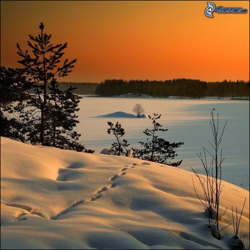 śnieżny krajobraz, pomarańczowy zachód słońca, ślady w śniegu