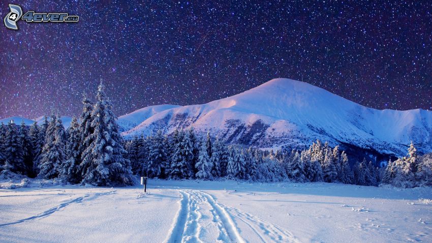 śnieżny krajobraz, zaśnieżony las, zaśnieżona góra, ślady w śniegu, gwiazdy