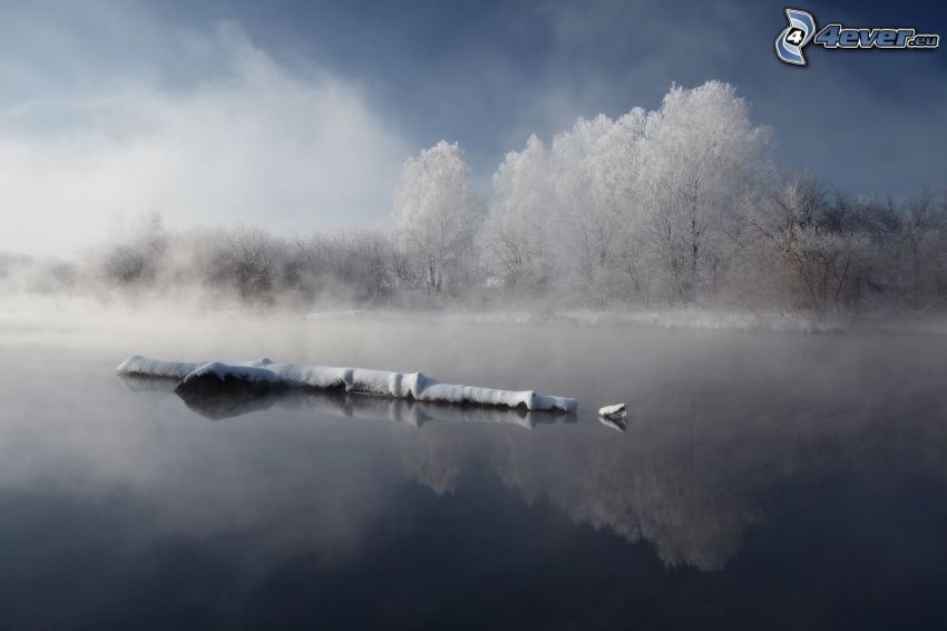 spokojne jezioro zimą, drewno, ośnieżone drzewa, przyziemna mgła