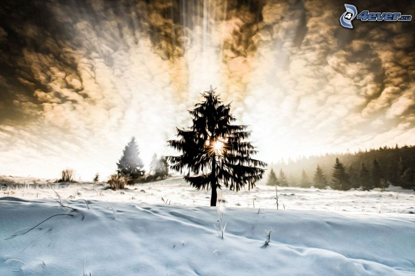 sylwetka drzewa, promienie słoneczne, chmury, zaśnieżona łąka
