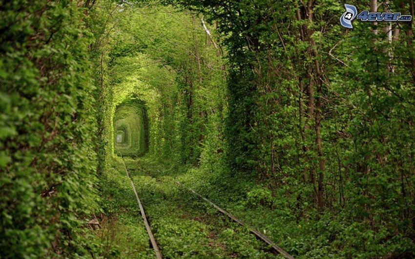 tory kolejowe, zielony tunel