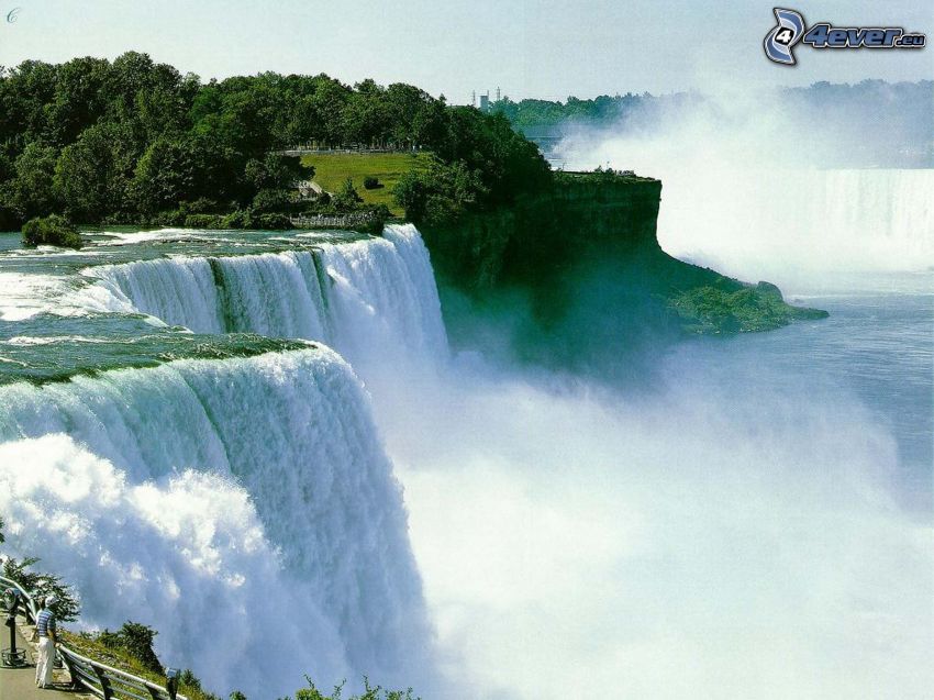 Wodospad Niagara, drzewa