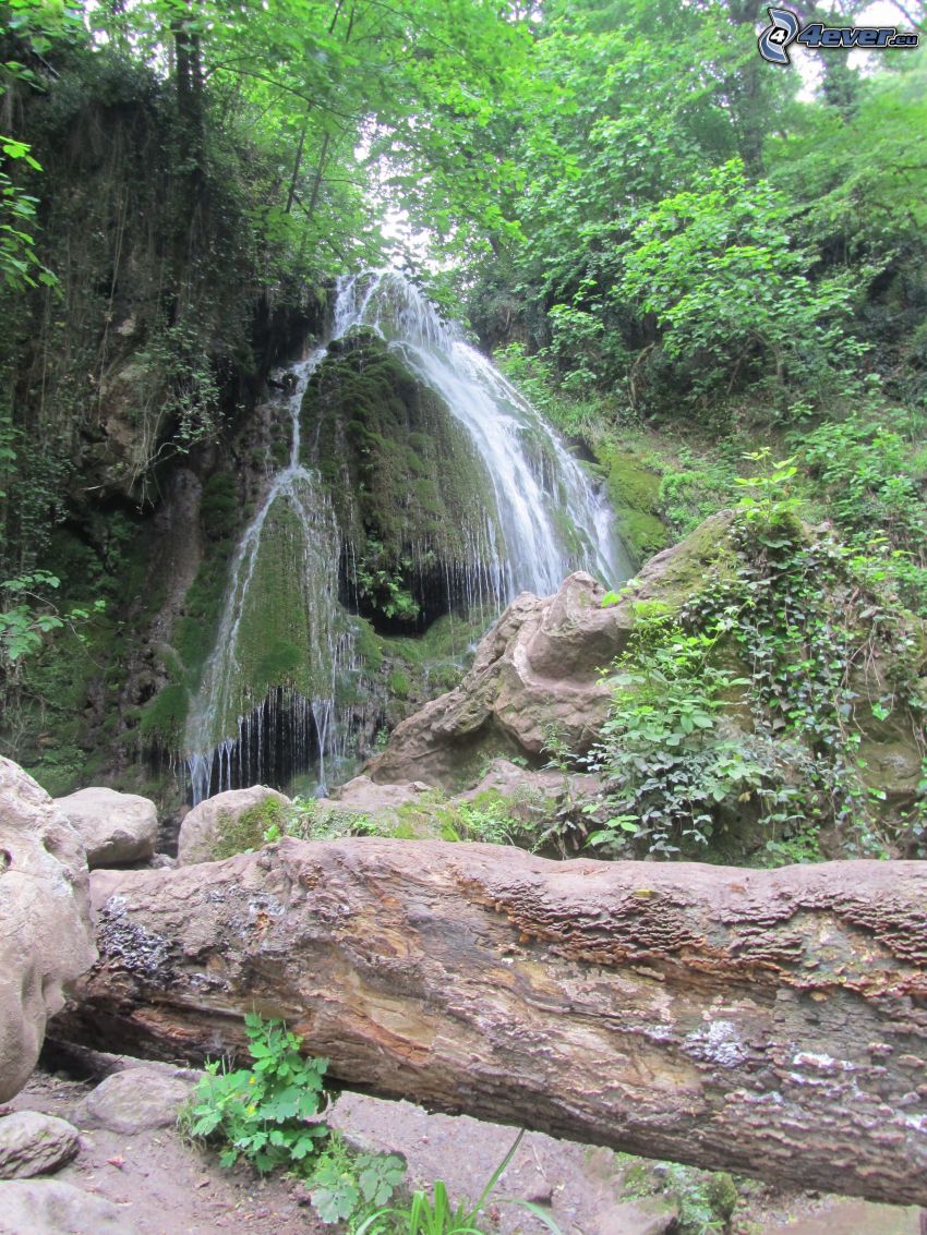 wodospad w lesie, skały, zieleń