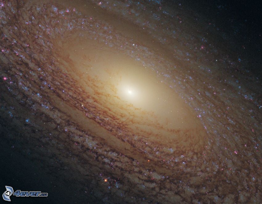 galaktyka spiralna