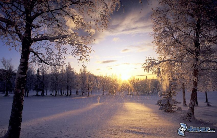 zimowy zachód słońca, ośnieżone drzewa, śnieżny krajobraz
