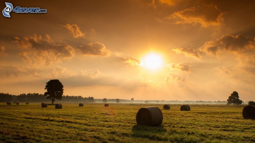 zlisowana słoma, słońce, niebo