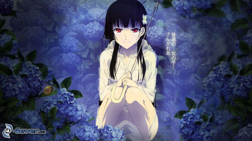 animacyjna dziewczyna, fioletowe kwiaty