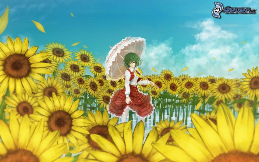 animacyjna dziewczyna, parasol, słoneczniki