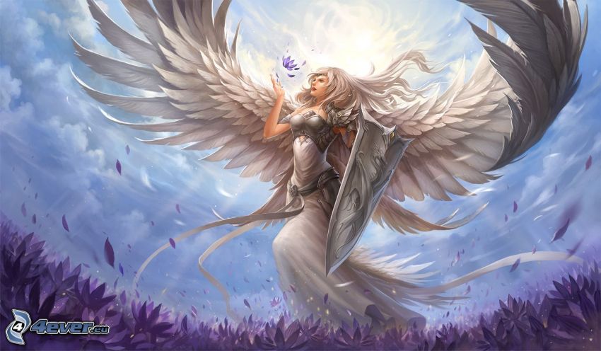 anioł, skrzydła, fioletowe kwiaty
