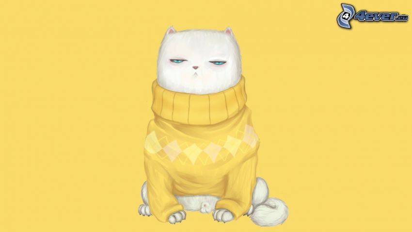 biały kot, sweter, żółte tło