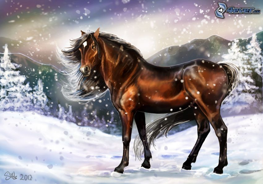 brązowy koń, śnieg