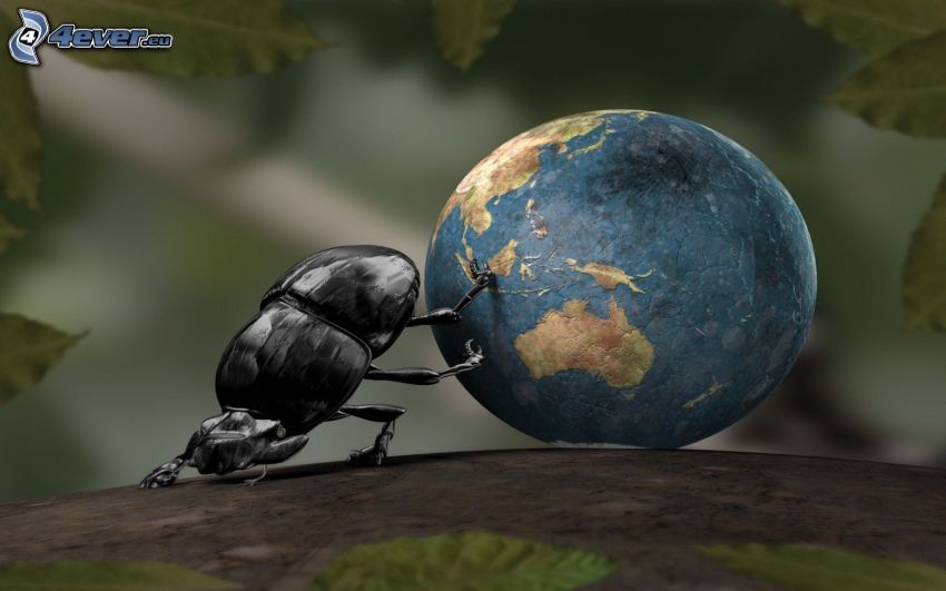 chrząszcz, Planeta Ziemia, 3D