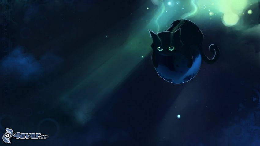 czarny kot, kot rysunkowy