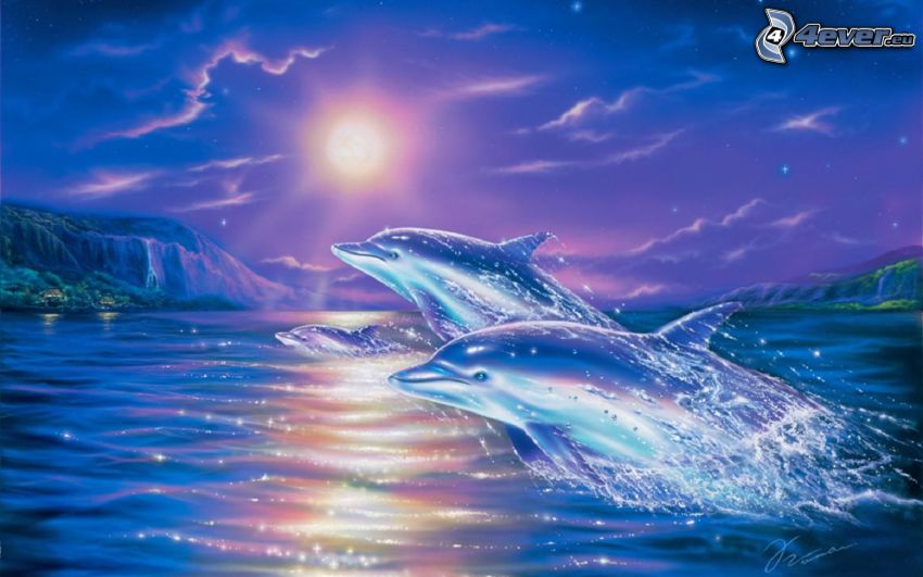 delfiny, morze