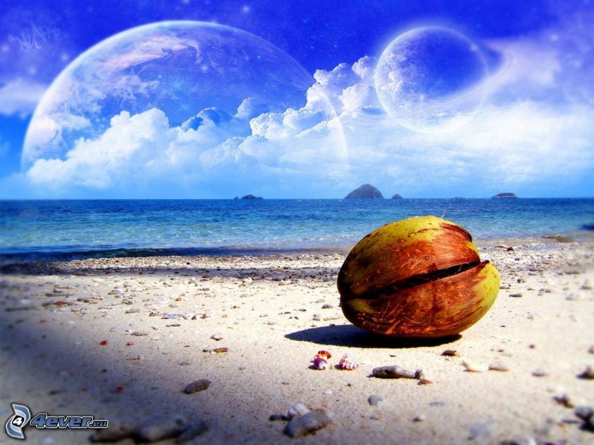 dwa księżyce, planeta, plaża, orzech kokosowy, niebo, morze, muszle