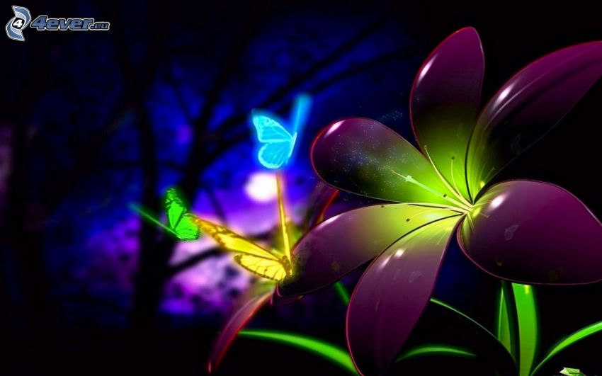 kwiatek rysunkowy, kolorowe motyle
