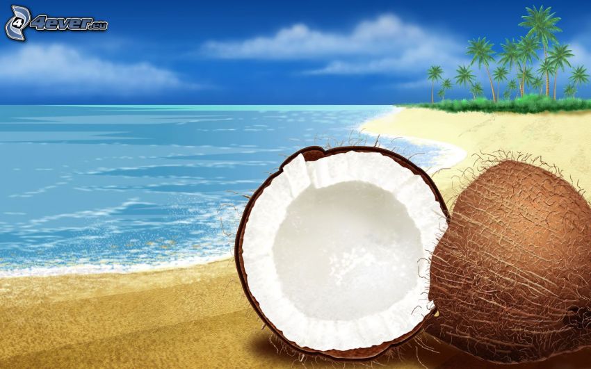 orzech kokosowy, plaża, morze, palmy