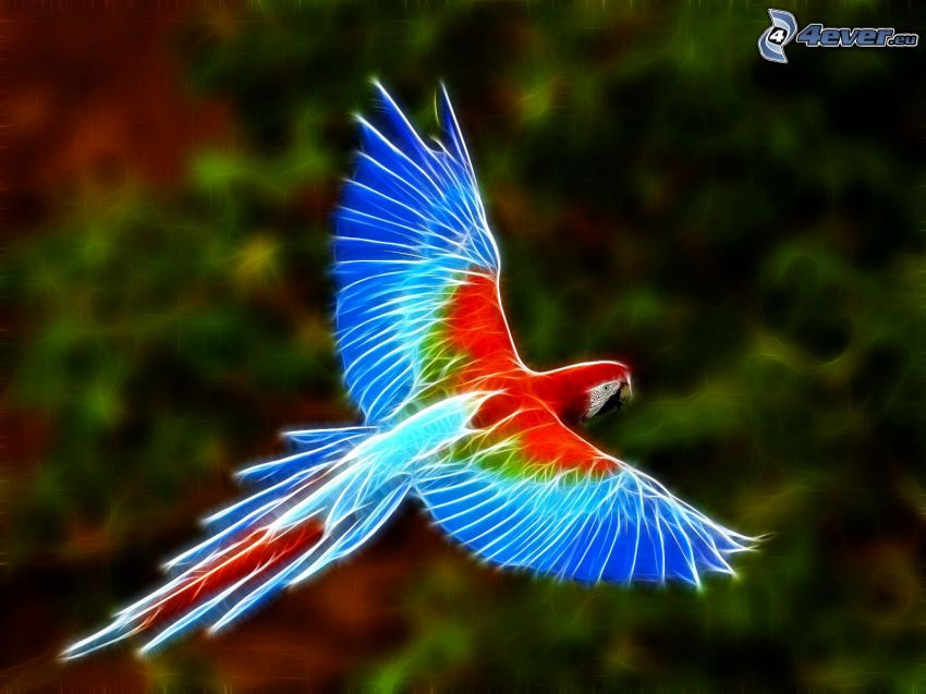 papuga Ara, zwierzęta fraktalne, fraktalny ptak